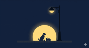 An image of a dog and a cat, at night, sitting below a lamp.